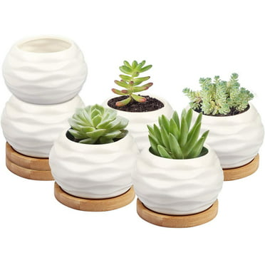 White 4.6/" Details about  / Ceramic Toilet Plant Pot//Bonsai Pot//Flower Pot//Succulent Planter